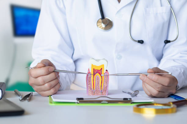 Best Emergency TMJ Treatment in Grenada, MS